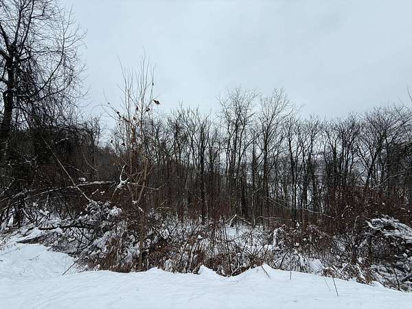 52.8 Acres of Recreational & Residential Land for Sale in Aliquippa, Pennsylvania