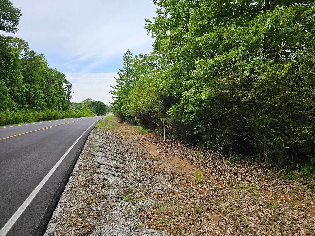 57 Acres of Land for Sale in Detroit, Alabama