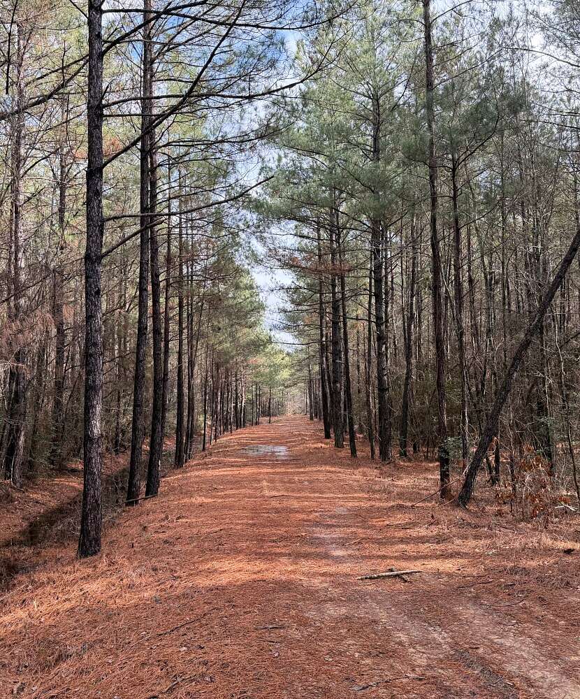 192 Acres of Recreational Land for Sale in White Oak, North Carolina