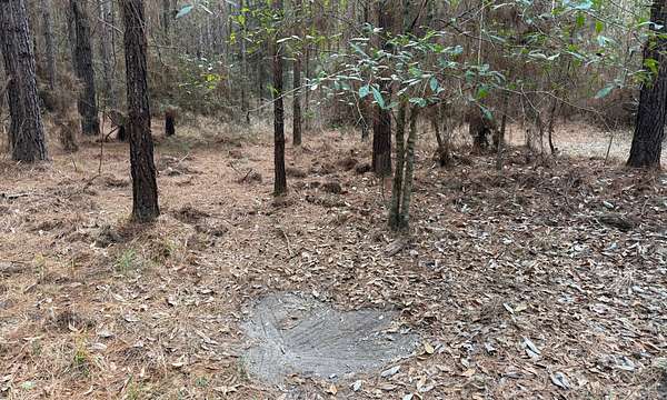 25 Acres of Recreational & Residential Land for Sale in New Brockton, Alabama