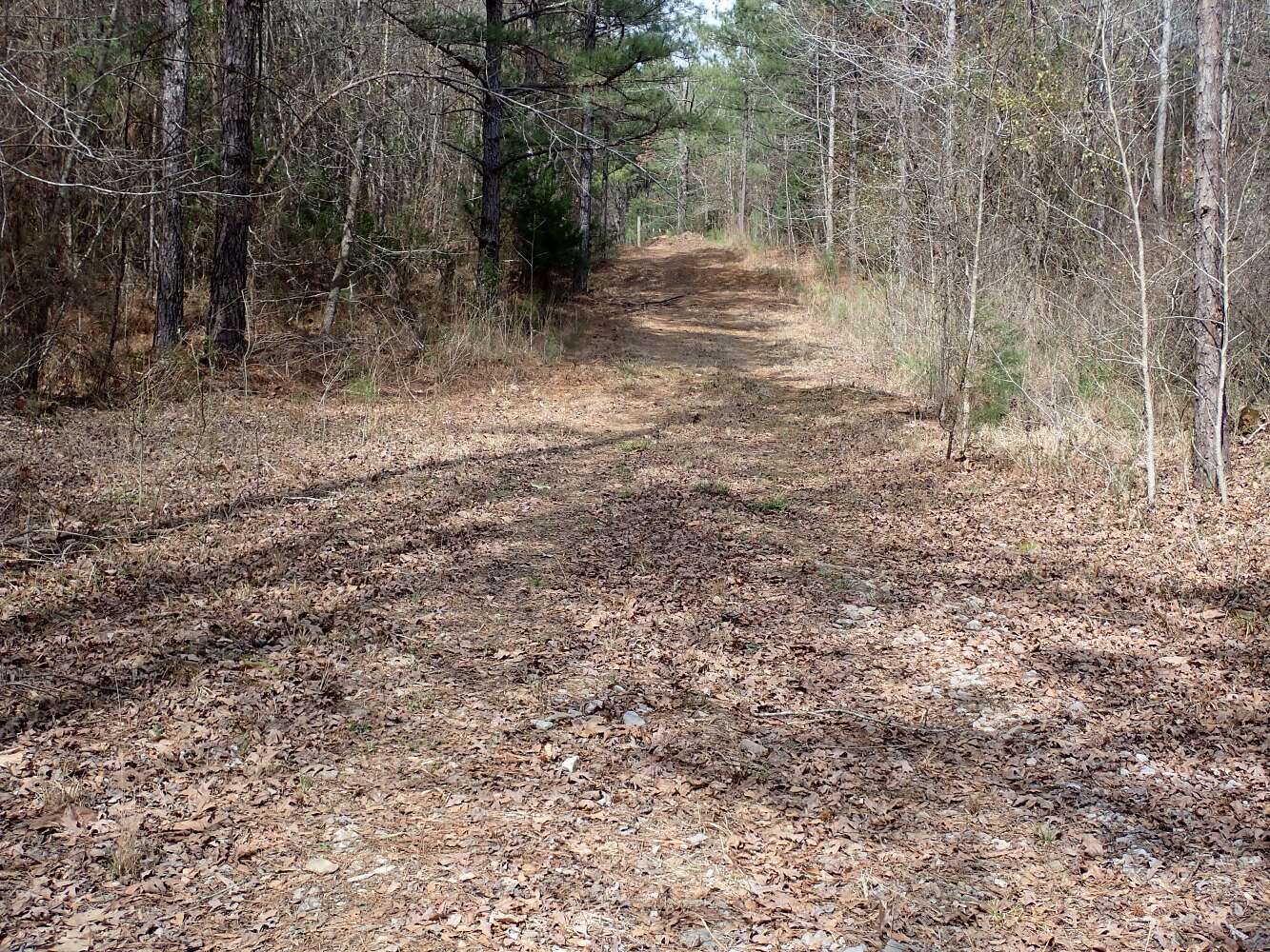 240 Acres of Recreational Land for Sale in Centreville, Alabama