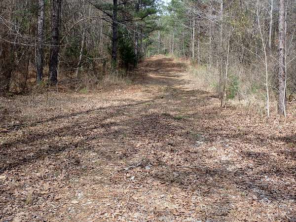240 Acres of Recreational Land for Sale in Centreville, Alabama