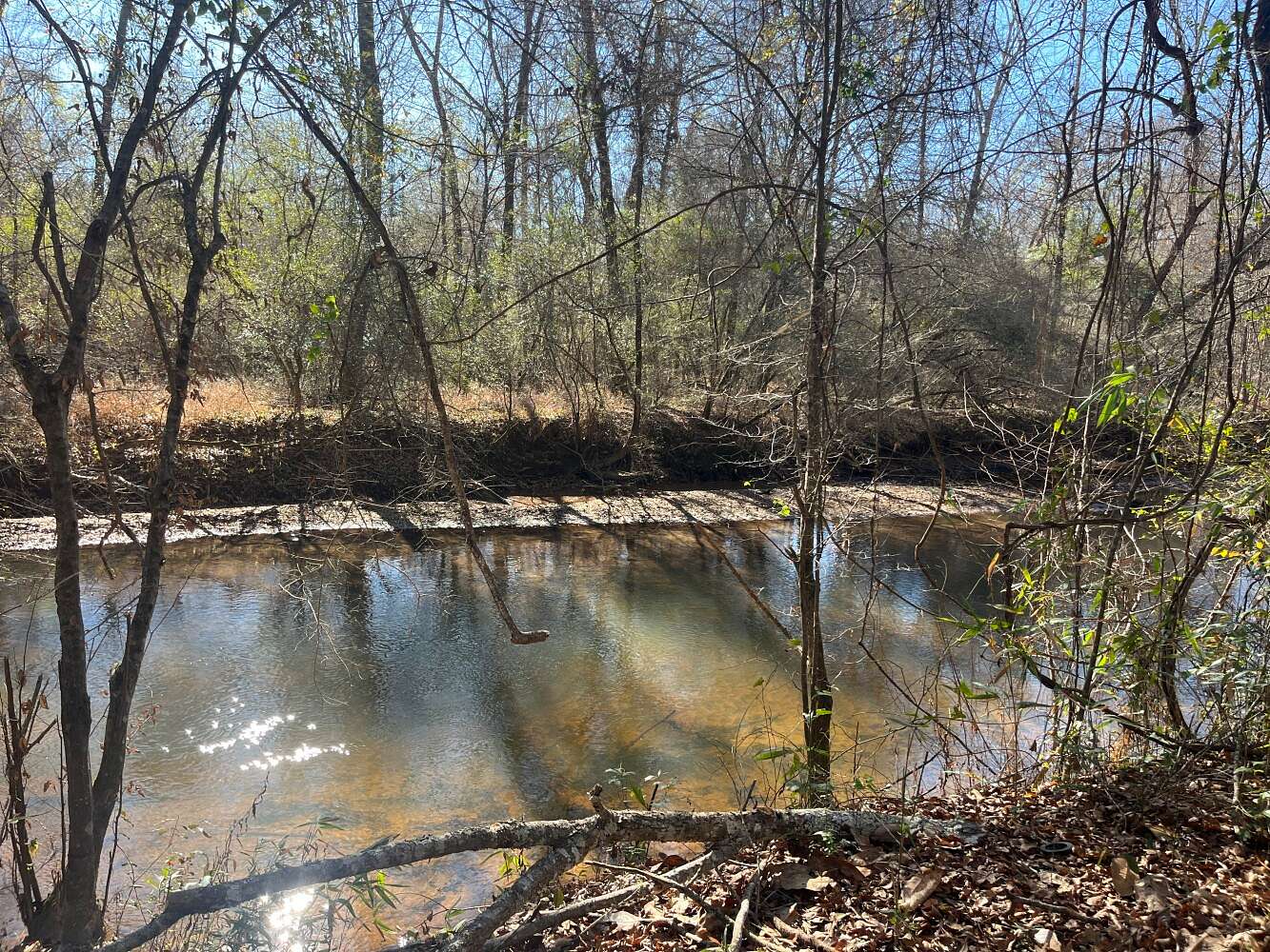 56 Acres of Recreational Land for Sale in Monroeville, Alabama