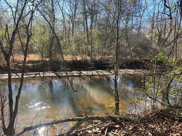 56 Acres of Recreational Land for Sale in Monroeville, Alabama