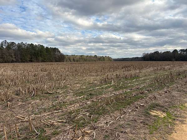 294 Acres of Agricultural Land for Sale in Tyler, Alabama