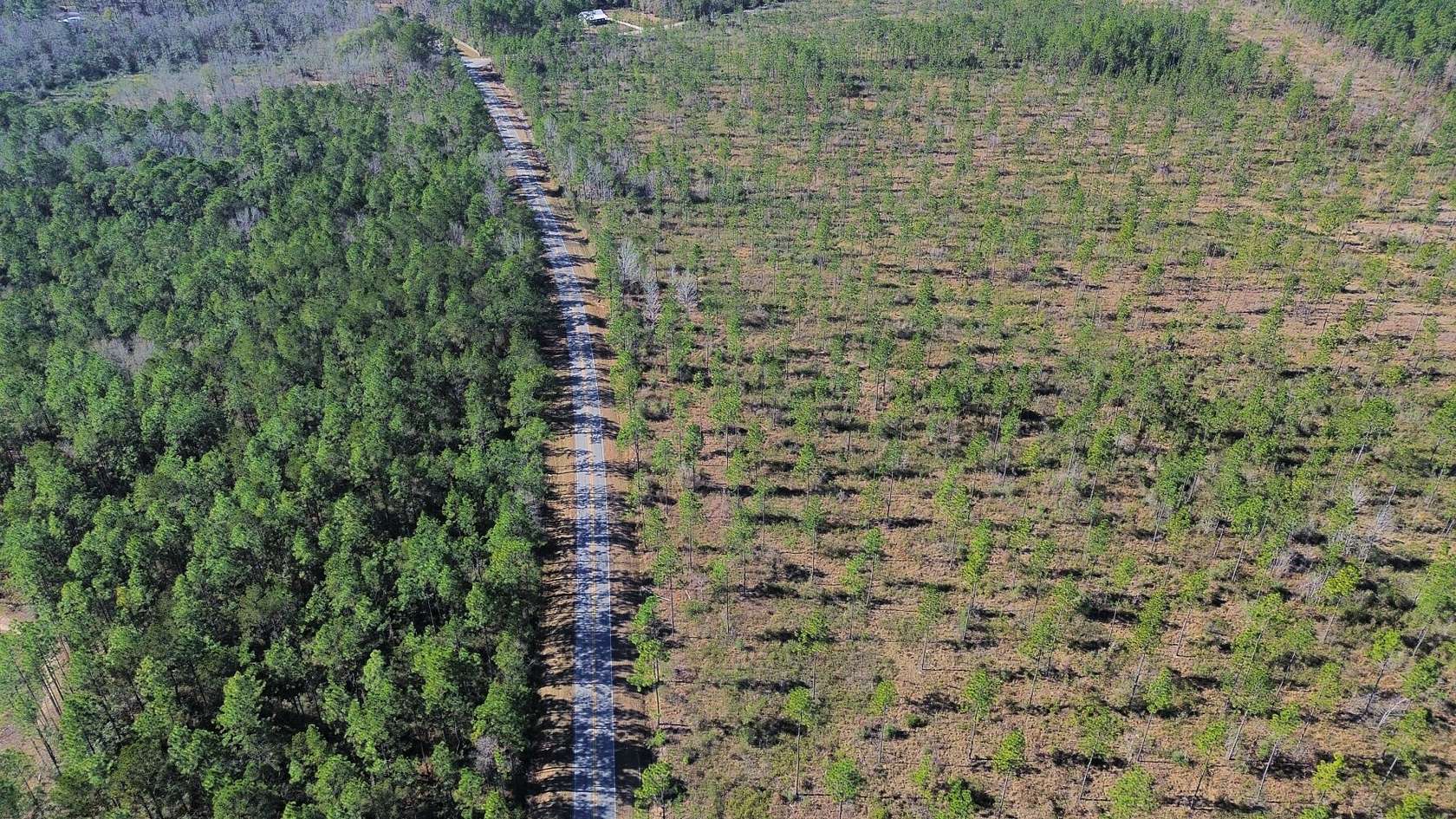 93 Acres of Recreational & Residential Land for Sale in Perdido, Alabama