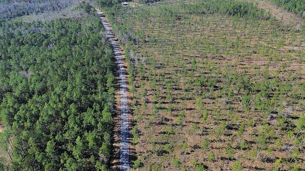93 Acres of Recreational & Residential Land for Sale in Perdido, Alabama