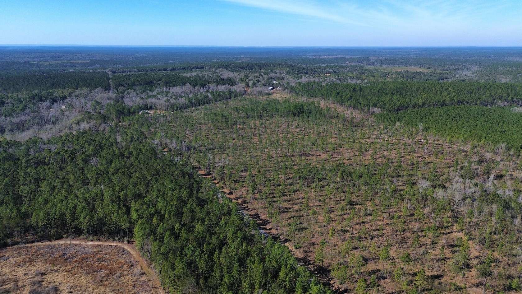 46 Acres of Recreational & Residential Land for Sale in Perdido, Alabama