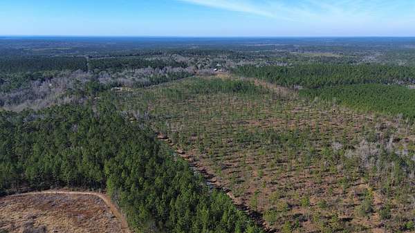 46 Acres of Recreational & Residential Land for Sale in Perdido, Alabama