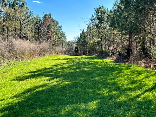 27 Acres of Recreational Land for Sale in Millport, Alabama