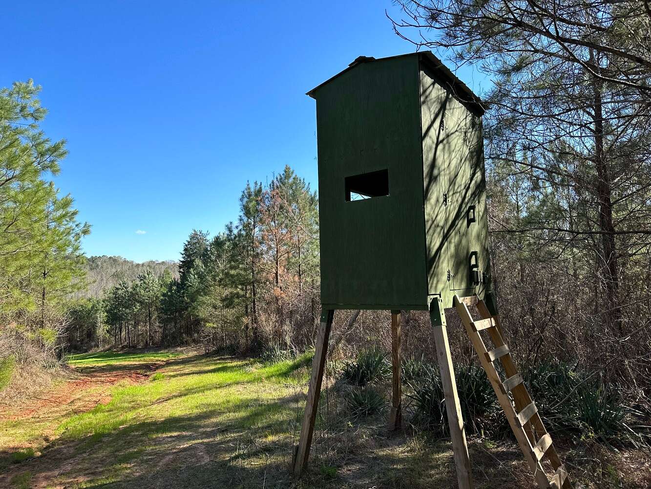 75 Acres of Recreational Land for Sale in Millport, Alabama
