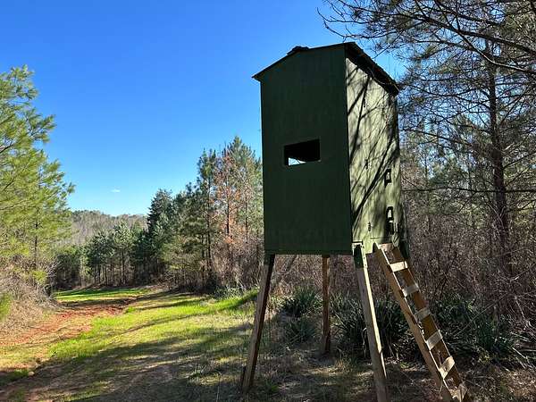 75 Acres of Recreational Land for Sale in Millport, Alabama