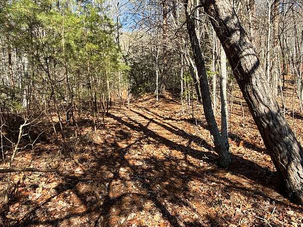 26.8 Acres of Recreational & Residential Land for Sale in Leicester, North Carolina