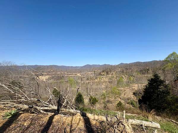 120 Acres of Recreational & Residential Land for Sale in St. Charles, Virginia