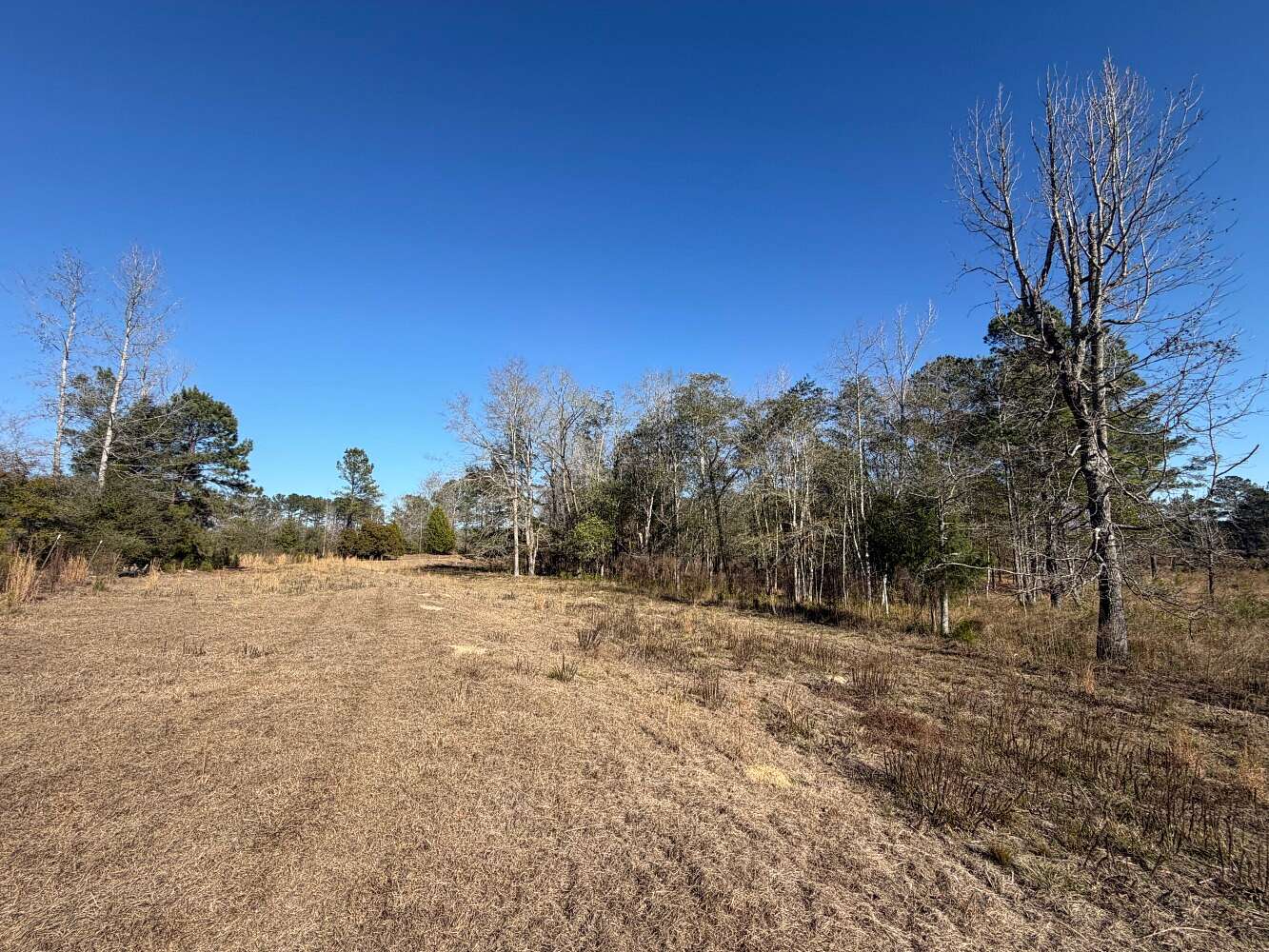 30 Acres of Recreational & Residential Land for Sale in New Brockton, Alabama