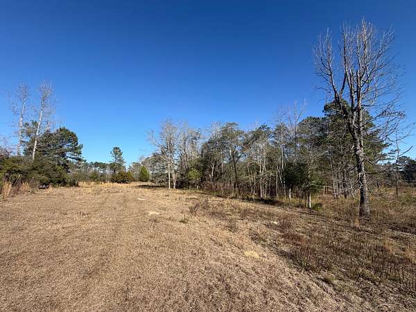 30 Acres of Recreational & Residential Land for Sale in New Brockton, Alabama