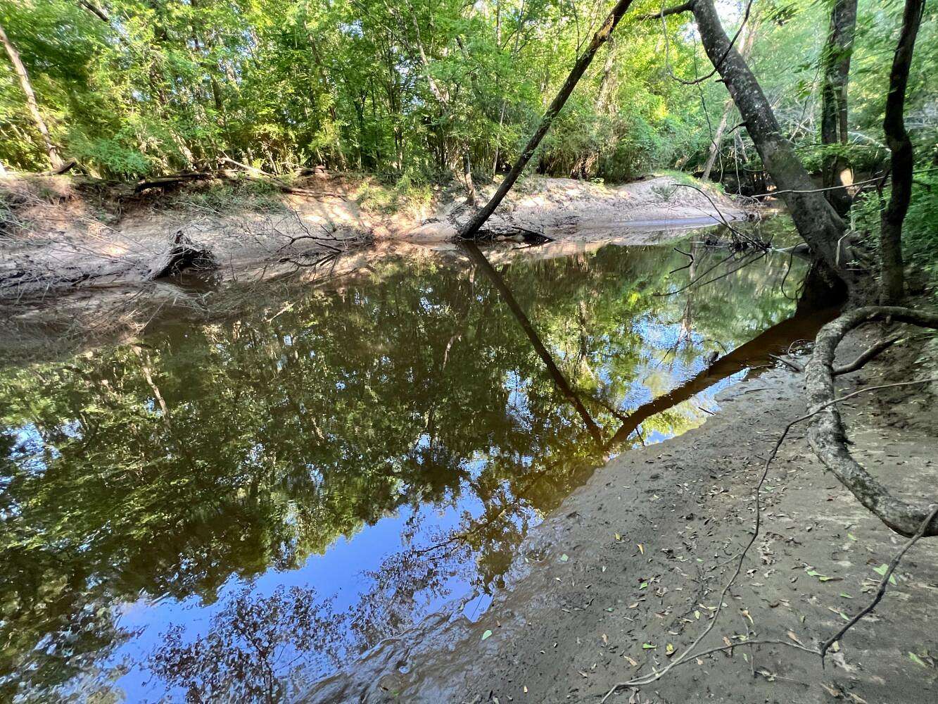 502 Acres of Recreational Land for Sale in Millry, Alabama