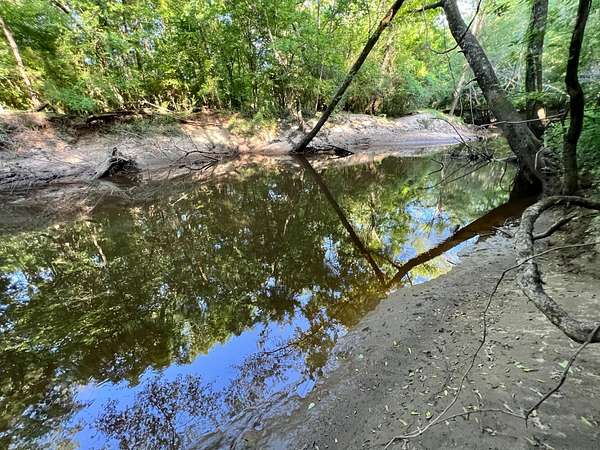 502 Acres of Recreational Land for Sale in Millry, Alabama