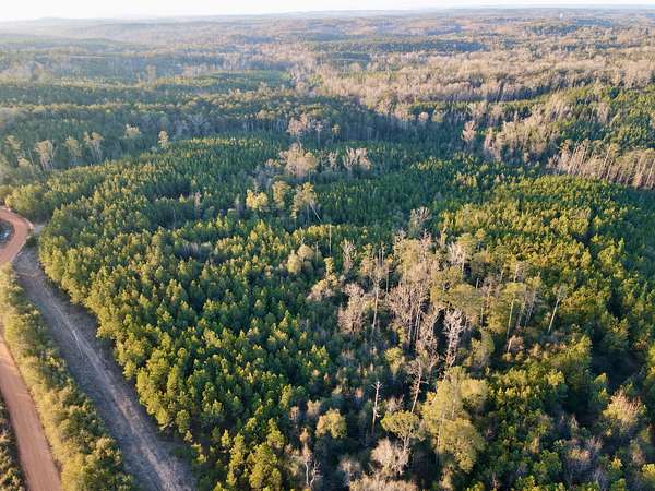 22 Acres of Recreational & Residential Land for Sale in Whatley, Alabama