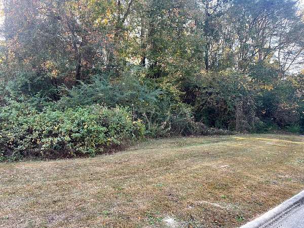 0.68 Acres of Residential Land for Sale in Tuscaloosa, Alabama