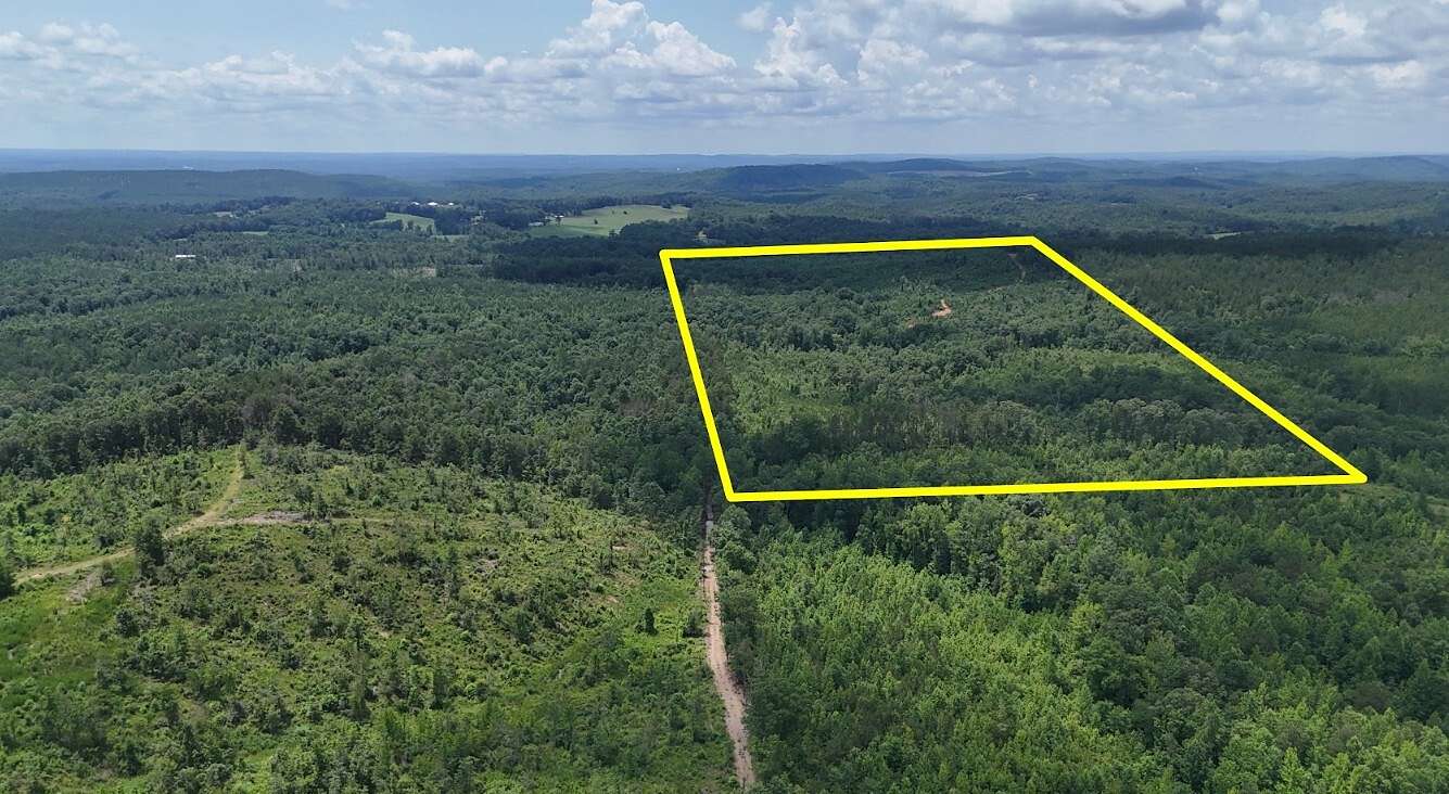 120 Acres of Recreational & Residential Land for Sale in Wedowee, Alabama