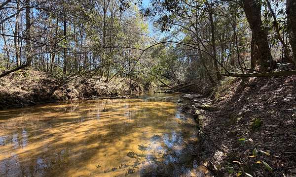 18 Acres of Recreational Land for Sale in Elba, Alabama