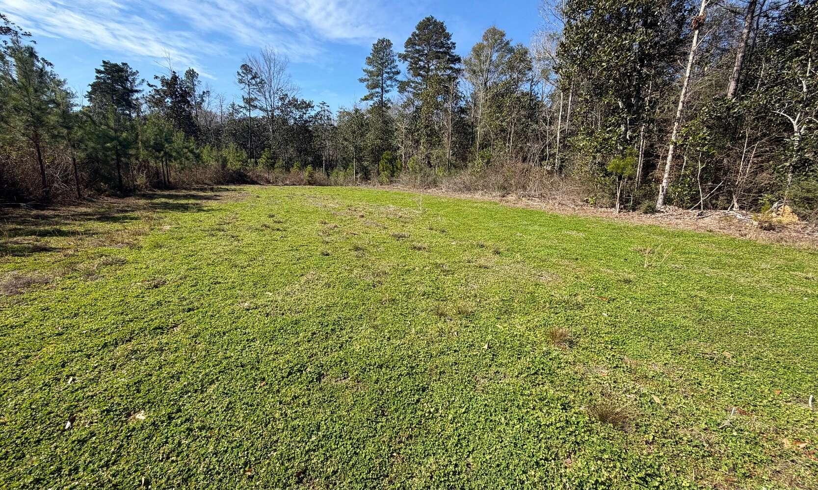 18 Acres of Recreational Land for Sale in Elba, Alabama