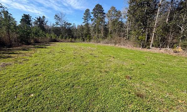 18 Acres of Recreational Land for Sale in Elba, Alabama