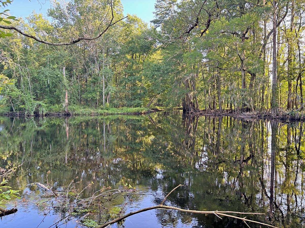 205 Acres of Recreational Land for Sale in Dillon, South Carolina