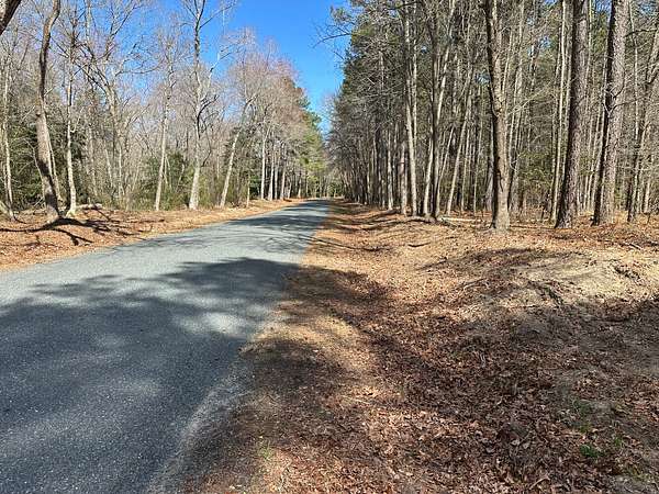 8 Acres of Residential Land for Sale in Mardela Springs, Maryland