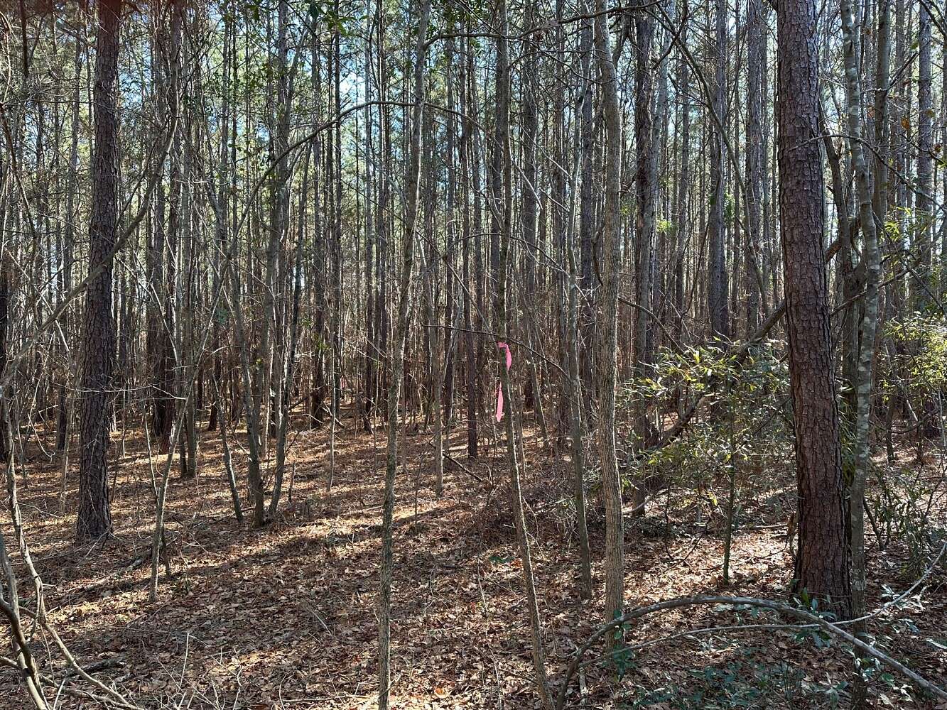 2.54 Acres of Residential Land for Sale in Red Springs, North Carolina