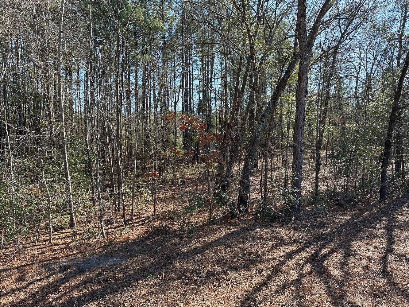 2.7 Acres of Residential Land for Sale in Red Springs, North Carolina