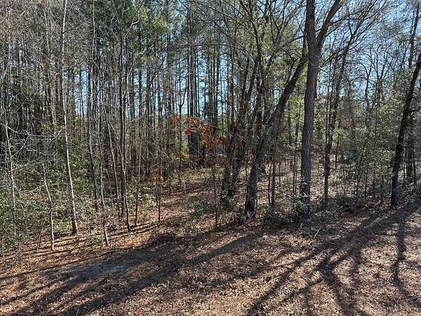 2.7 Acres of Residential Land for Sale in Red Springs, North Carolina