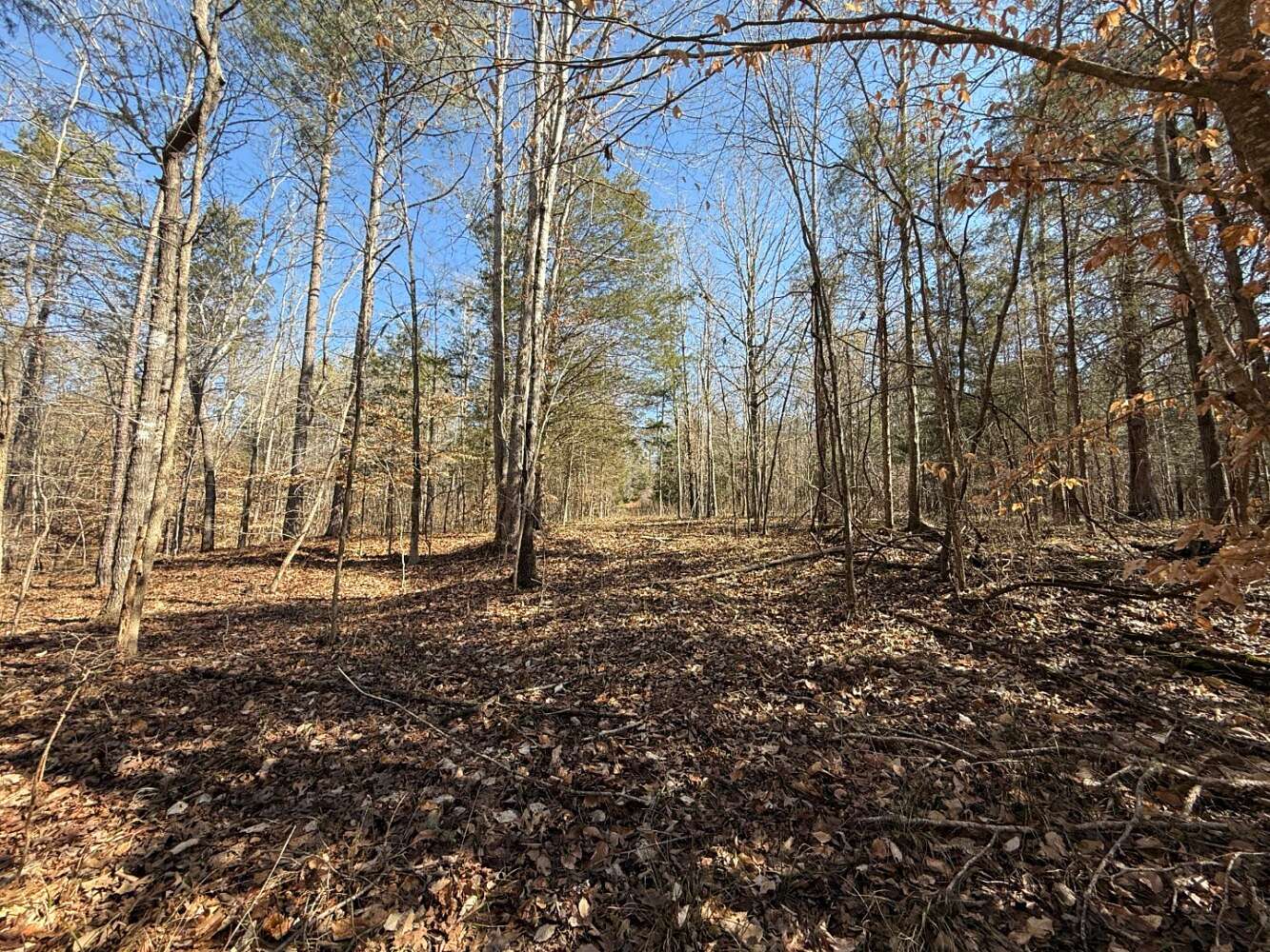 109 Acres of Recreational & Residential Land for Sale in Carlisle, South Carolina