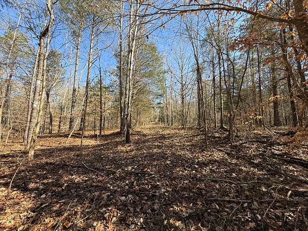 109 Acres of Recreational & Residential Land for Sale in Carlisle, South Carolina