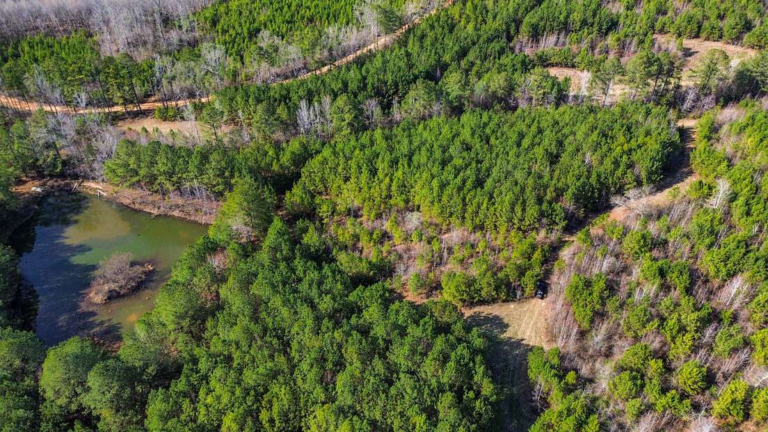 73 Acres of Recreational Land for Sale in Plantersville, Alabama