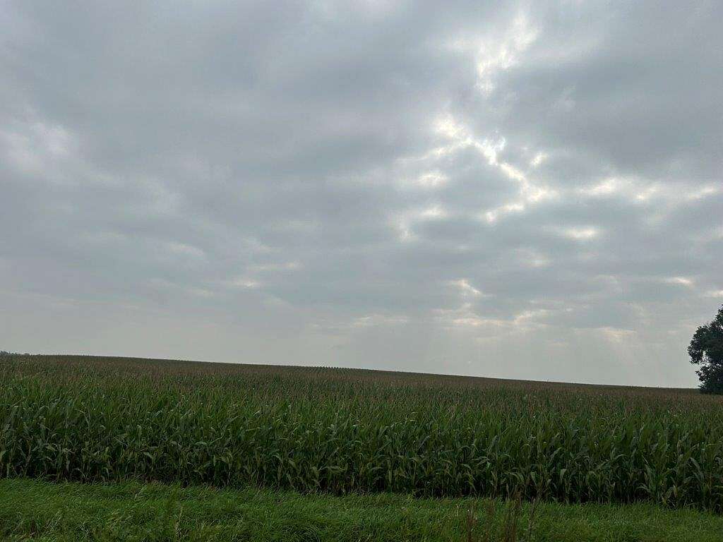 212 Acres of Agricultural Land for Sale in Fairfax, Minnesota