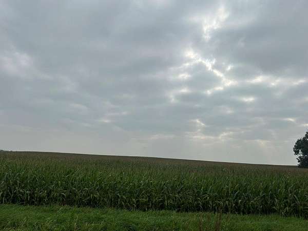 40 Acres of Agricultural Land for Sale in Fairfax, Minnesota