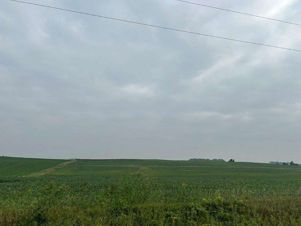 63.6 Acres of Agricultural Land for Sale in Fairfax, Minnesota