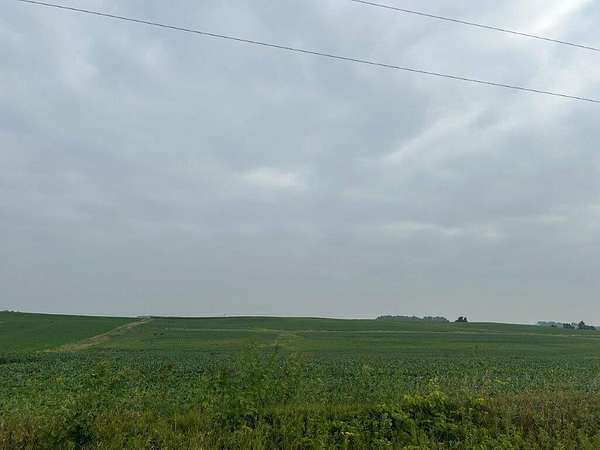 63.6 Acres of Agricultural Land for Sale in Fairfax, Minnesota
