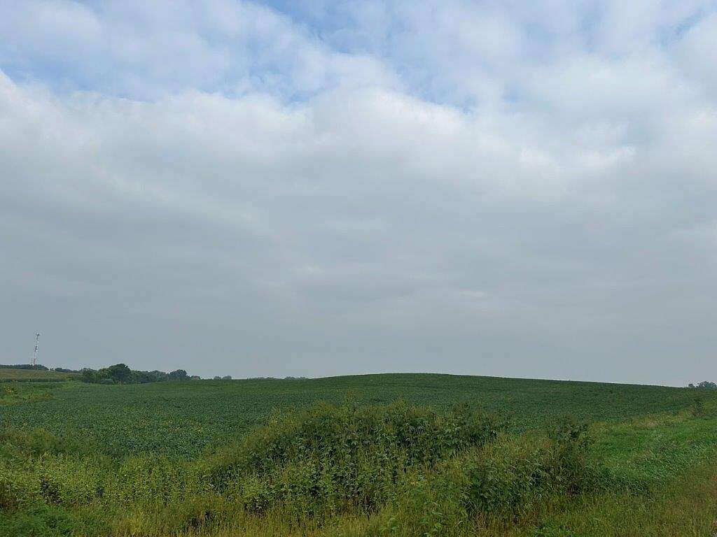 109 Acres of Agricultural Land for Sale in Fairfax, Minnesota