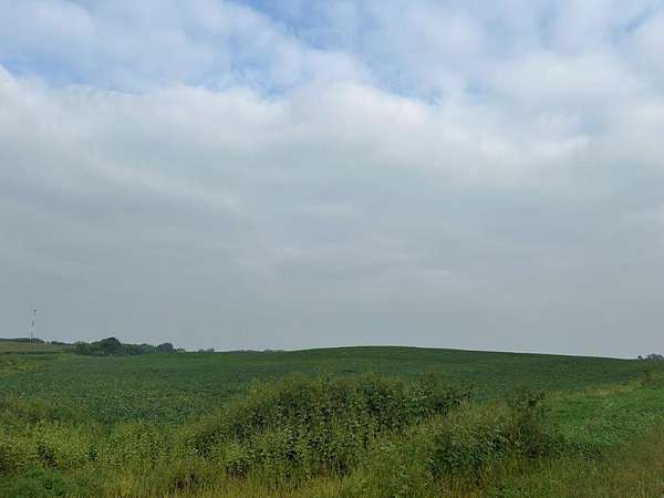 109 Acres of Agricultural Land for Sale in Fairfax, Minnesota