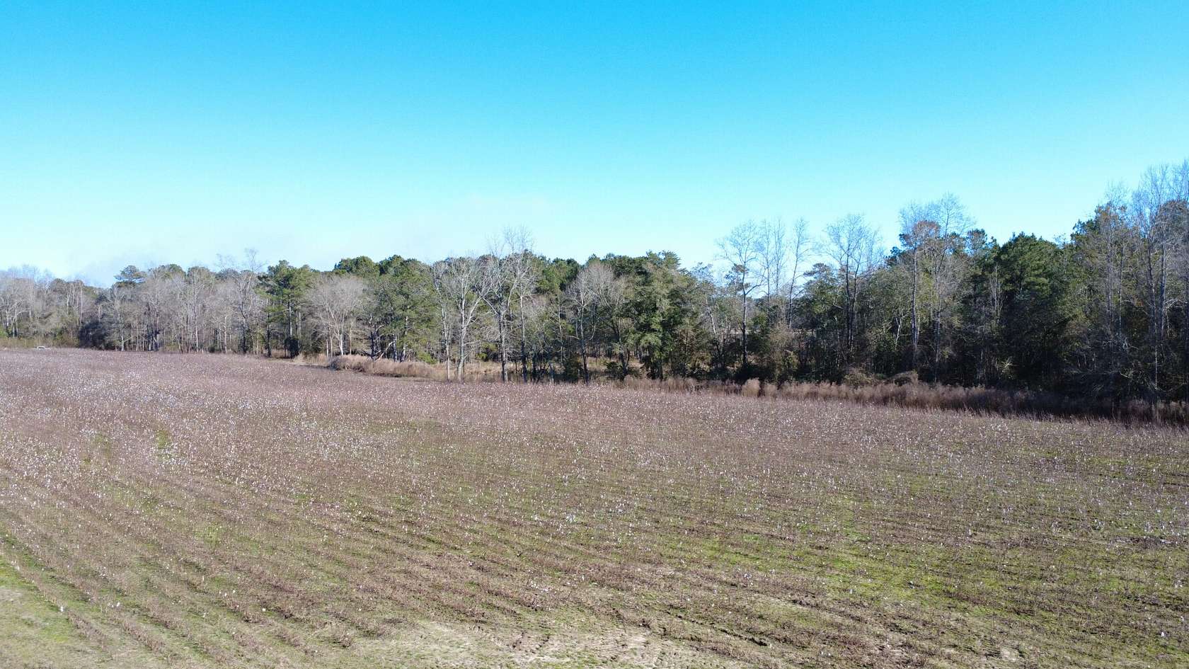 15 Acres of Land for Sale in New Brockton, Alabama