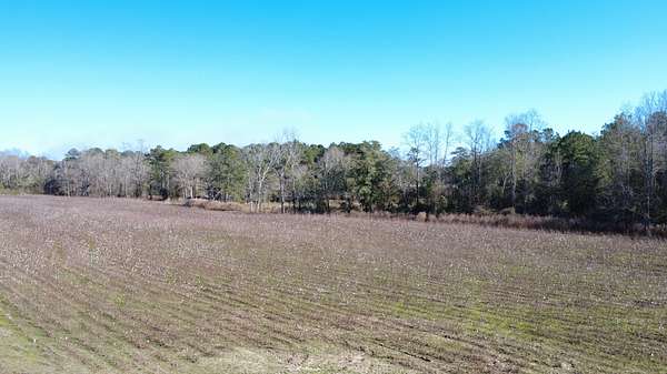 15 Acres of Land for Sale in New Brockton, Alabama