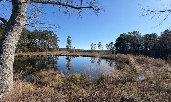 19 Acres of Land for Sale in New Brockton, Alabama