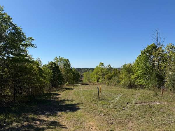 580 Acres of Recreational & Residential Land for Sale in Ragland, Alabama