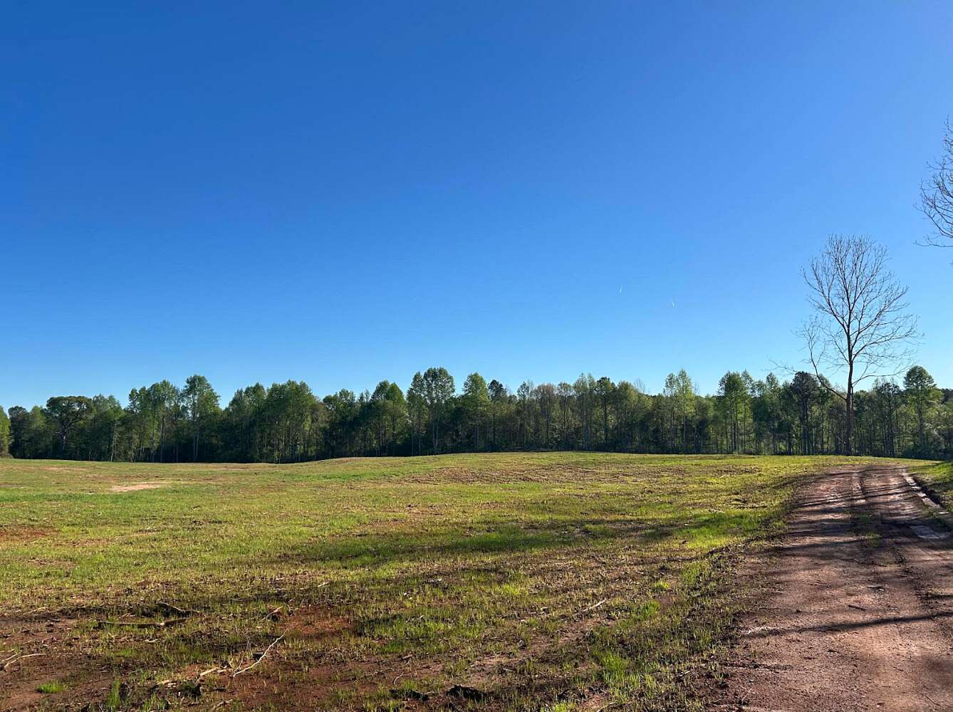 39 Acres of Land for Sale in Camp Hill, Alabama