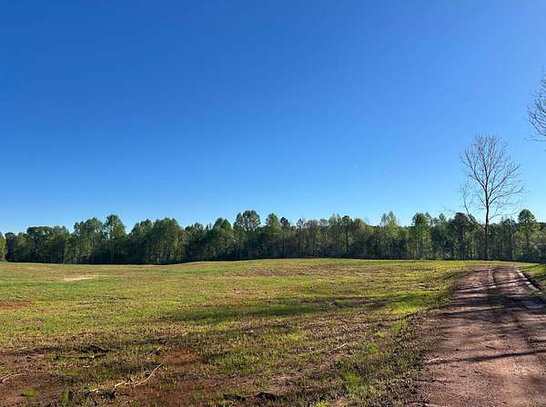 39 Acres of Land for Sale in Camp Hill, Alabama