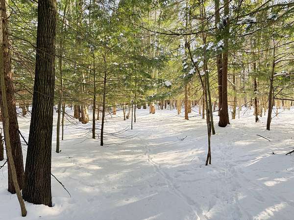 20 Acres of Recreational & Residential Land for Sale in Meadville, Pennsylvania