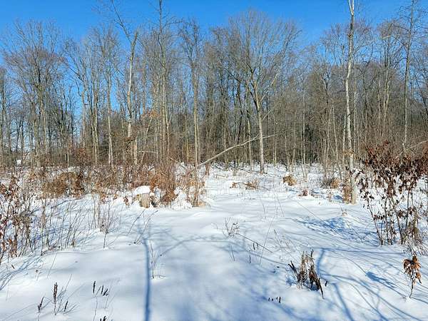 19.4 Acres of Recreational Land for Sale in Conneautville, Pennsylvania